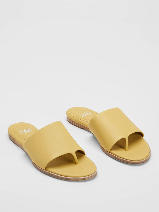 |||||||||||