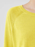 |||||||||||||||||||||||||||